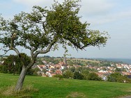 Noch ein Blick auf's Dorf